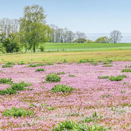 Reetdachhausschilf-idyll Prázdninový dům Garz (Usedom)