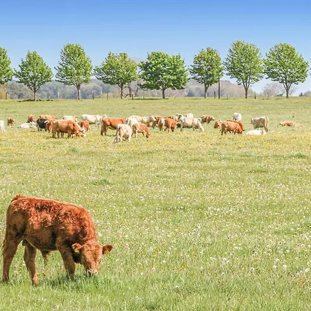 Reetdachhausschilf-idyll *