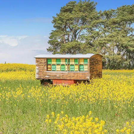 Reetdachhausschilf-idyll * Garz (Usedom)
