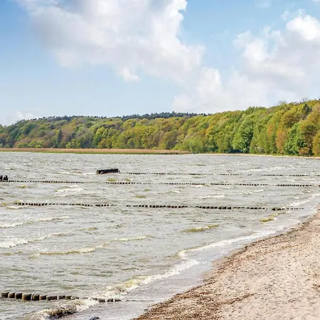 Reetdachhausschilf-idyll